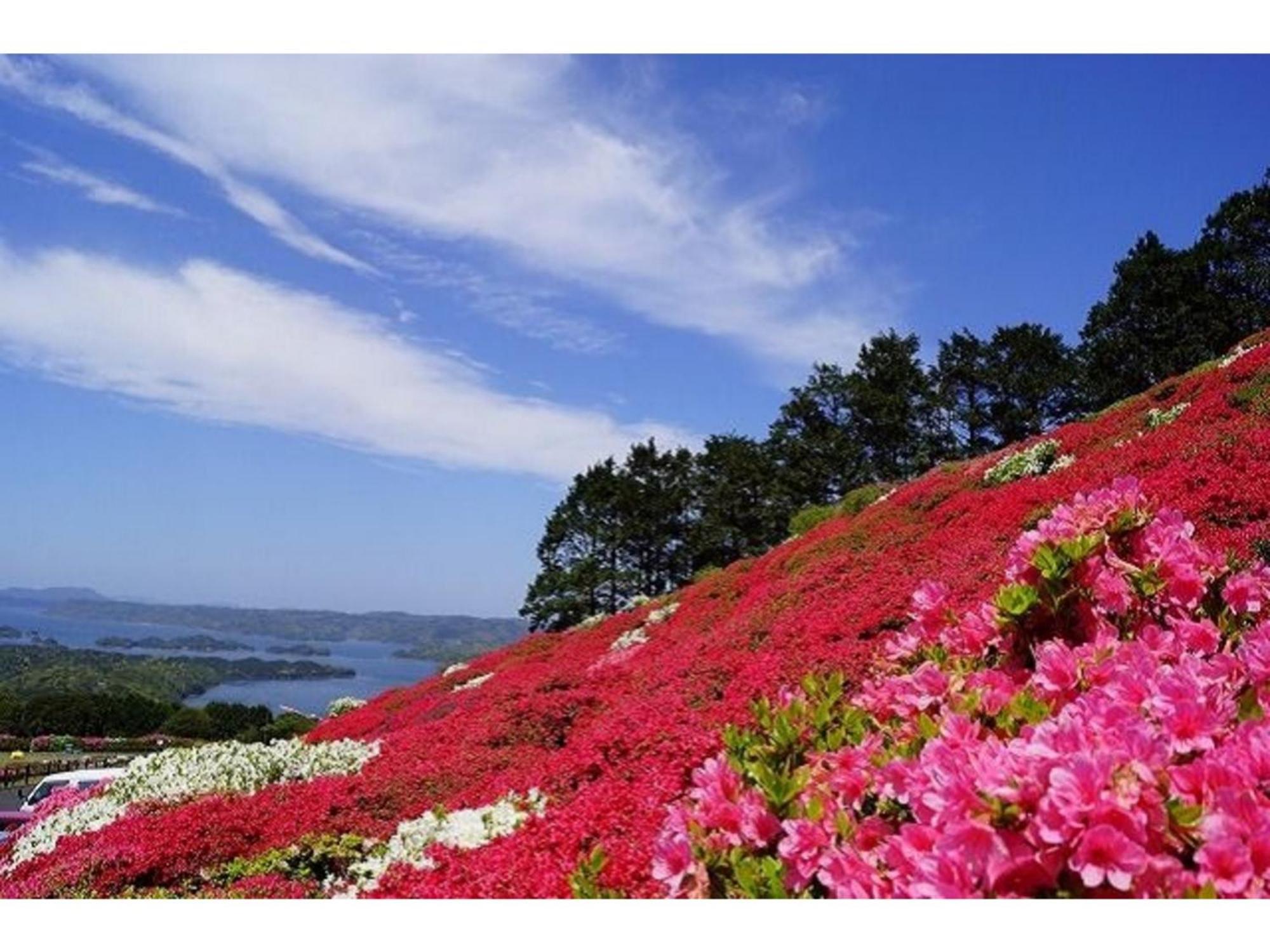 The Paradise Garden Sasebo Extérieur photo